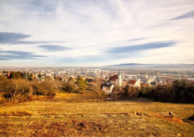 Eine Rundwanderung hoch über Krems: Kögel, Kuhberg und Wachtberg