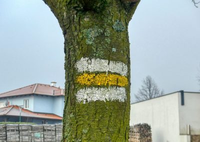 Droßer Wanderweg D5: Durch den Wald nach Lengenfeld - über Felder zurück