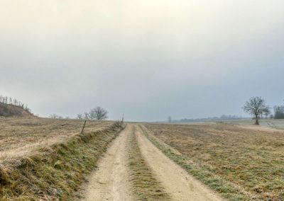 Droßer Wanderweg D5: Durch den Wald nach Lengenfeld - über Felder zurück
