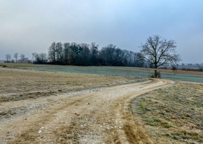 Droßer Wanderweg D5: Durch den Wald nach Lengenfeld - über Felder zurück