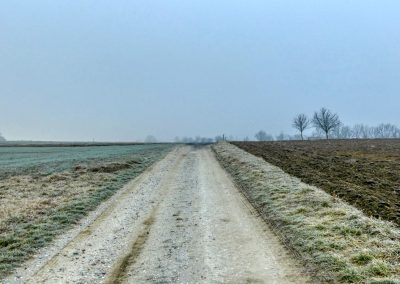 Droßer Wanderweg D5: Durch den Wald nach Lengenfeld - über Felder zurück