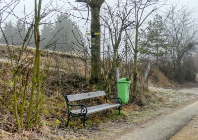 Droßer Wanderweg D5: Durch den Wald nach Lengenfeld - über Felder zurück