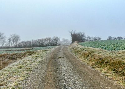 Droßer Wanderweg D5: Durch den Wald nach Lengenfeld - über Felder zurück
