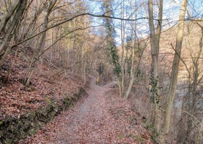 Der Panoramaweg Achleiten bei Weißenkirchen