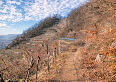 Der Panoramaweg Achleiten bei Weißenkirchen