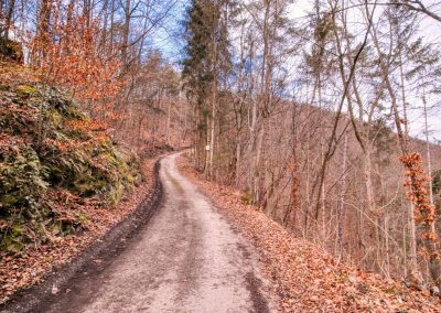 Der Rotes-Tor-Rundweg in Spitz - ein Wachauer Klassiker