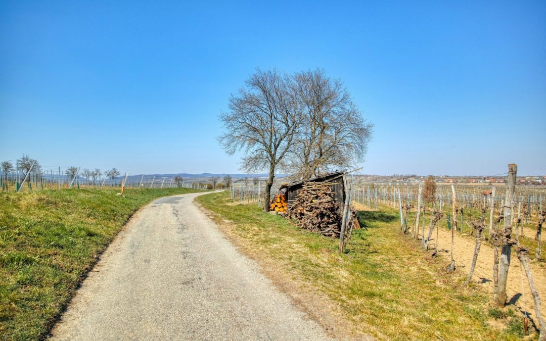 Kremser Rieden- und Wanderkarte – Wanderung 16: Holzgassenweg