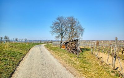 Kremser Rieden- und Wanderkarte – Wanderung 16: Holzgassenweg