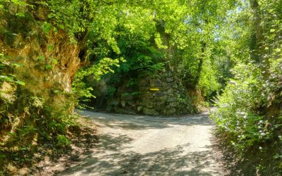 Der Hohlweg-Wanderweg in Traismauer