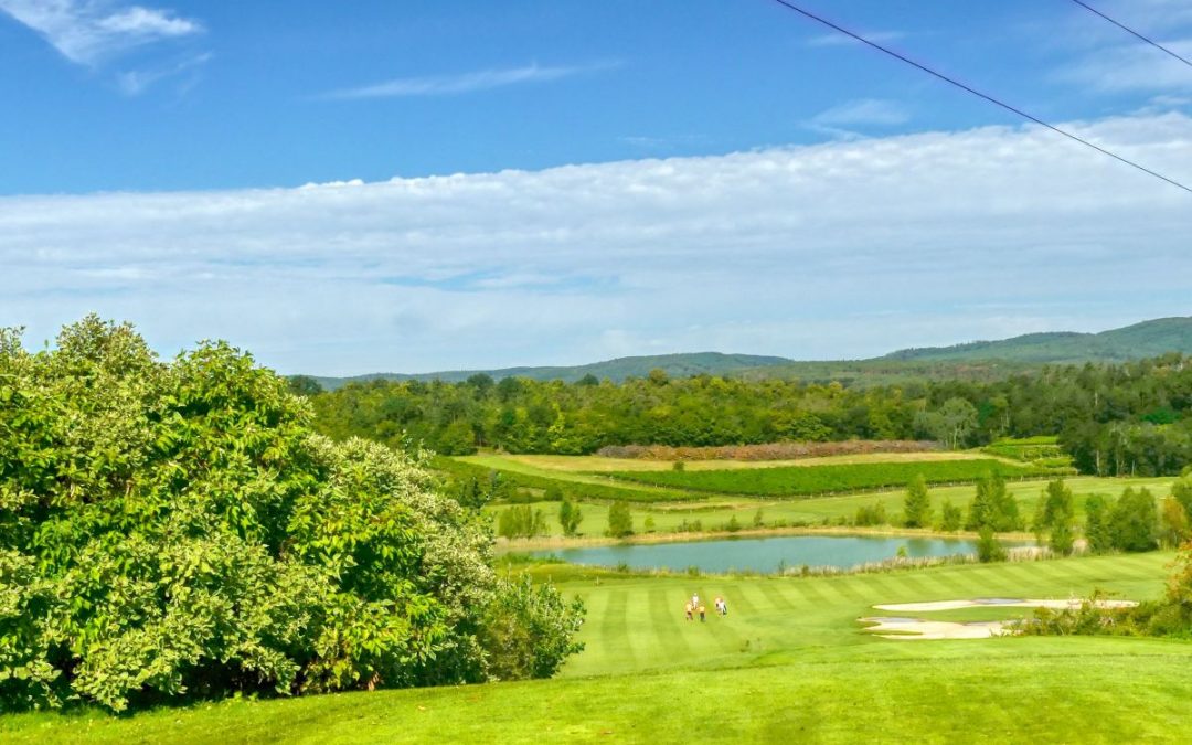 Wanderung “Rund um den Golfplatz” in Lengenfeld