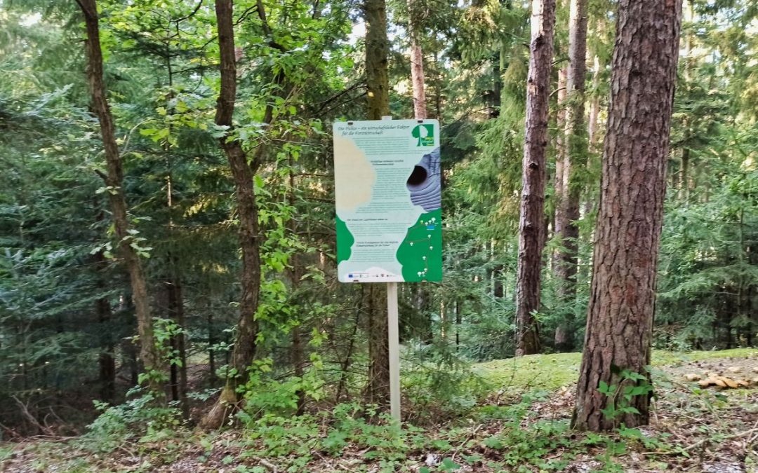 Der Waldlehrpfad der Gemeinde Droß