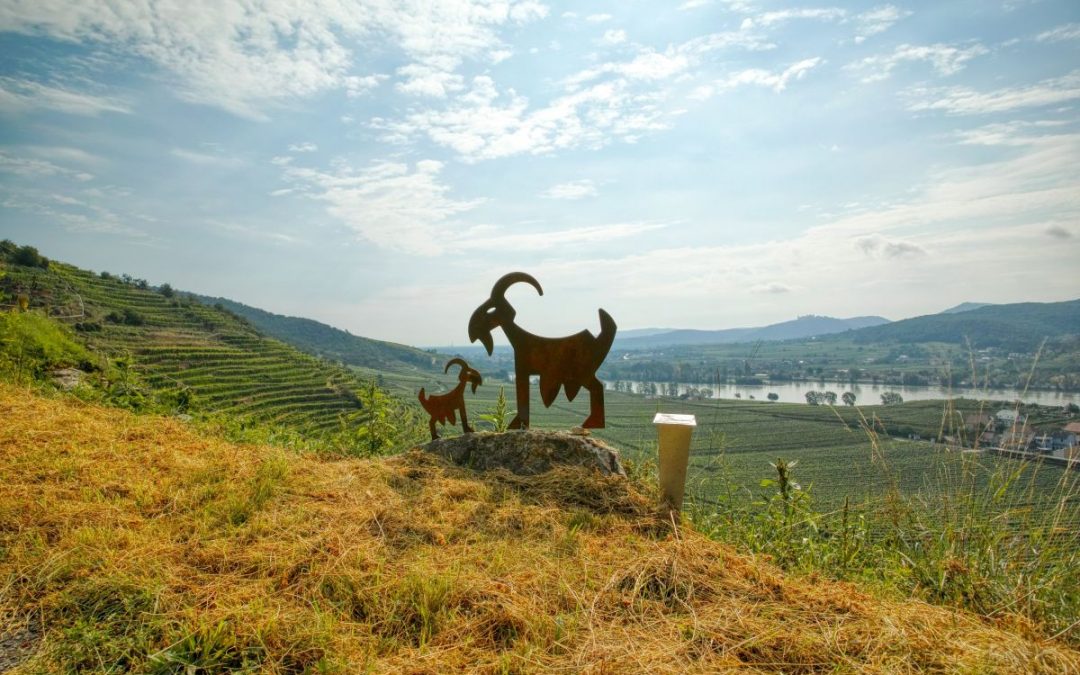 Der Weinskulpturenpfad auf dem Unteren Loibenberg