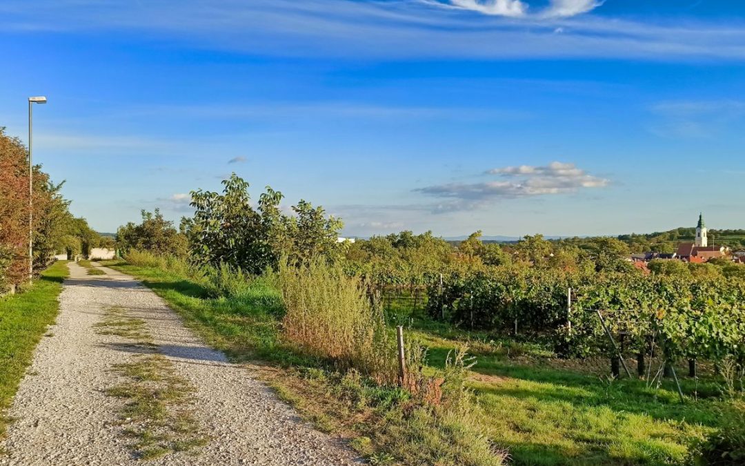 Der TAG.NACHT.WEG in Langenlois