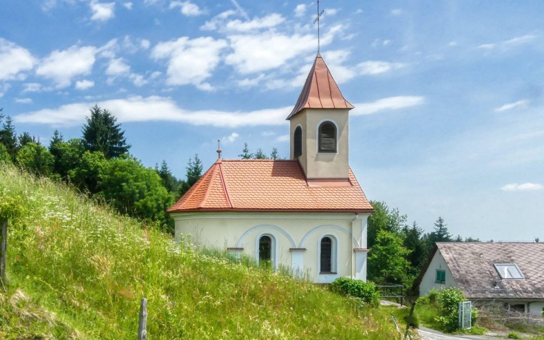 Der Weinbergweg in Bad Gams