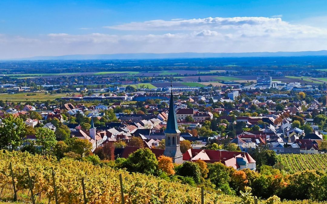 Der WeinWanderWeg Gumpoldskirchen