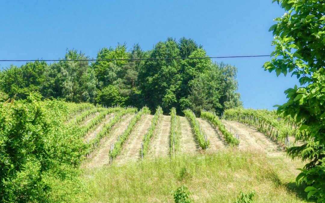 Der Weiherbach-Weg in Bad Schwanberg