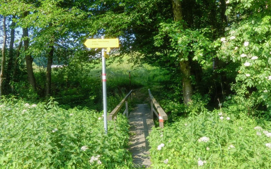 Der Honigrundweg bei St. Stefan ob Stainz