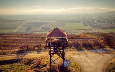 Der Umweg in Hadersdorf (NÖ Wanderroute 43)
