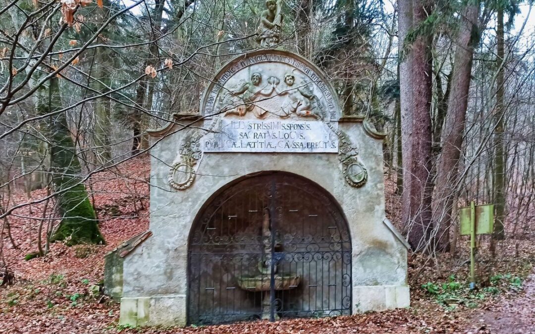 Über den Waldlehrpfad Maissau