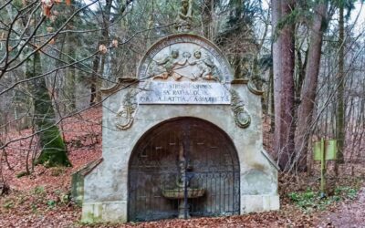 Über den Waldlehrpfad Maissau