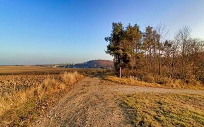 Der Jungbrunnwiesenweg im Wanderdorf Zemling