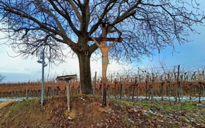 Der Große Weinbergwanderweg in Rohrendorf