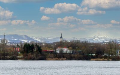 Nordic Walking – Viehofner Seen – Kleine Runde