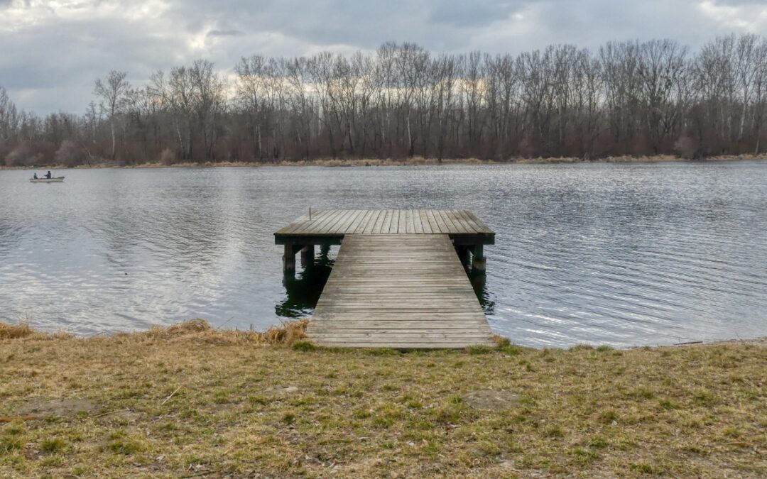 Von Altenwörth entlang des Treppelwegs und rund um die Totenlacke