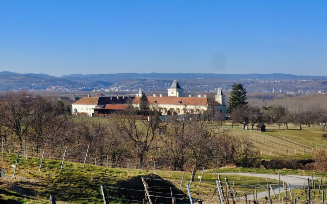 Eine Kennenlernrunde in Krems-Angern
