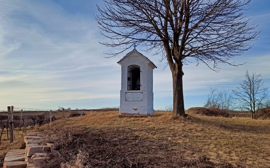 “Tut gut” Wanderweg Großriedenthal – Route 3: Neudegg & Ottenthal