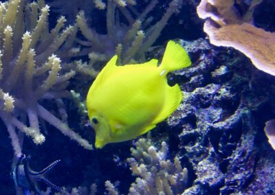 rostock zoo 005