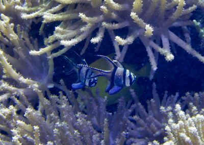 rostock zoo 006