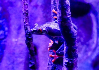rostock zoo 016