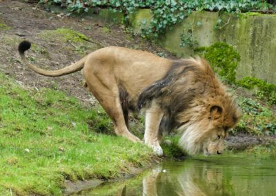 rostock zoo 035