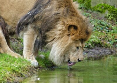 Unterwegs im besten Zoo Europas