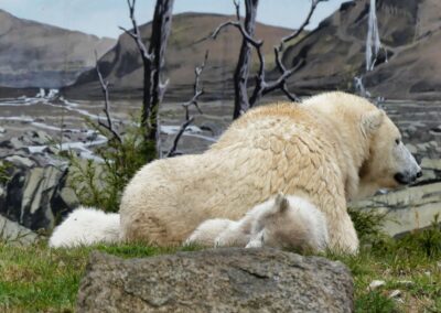 Unterwegs im besten Zoo Europas