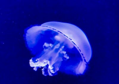 rostock zoo 048