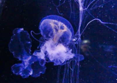 rostock zoo 050