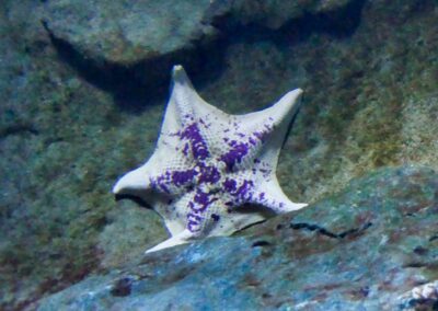 rostock zoo 052