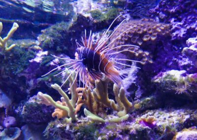 rostock zoo 053