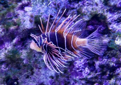 rostock zoo 055
