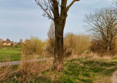 Von der Seebrücke in Bad Wendorf ins Fischerdorf Hoben