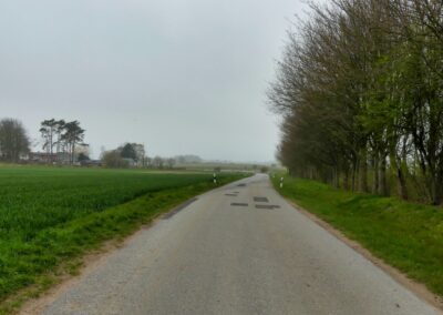 Wanderung auf dem Boiensdorfer Werder