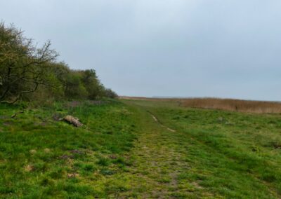 Wanderung auf dem Boiensdorfer Werder