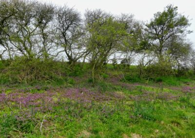 Wanderung auf dem Boiensdorfer Werder