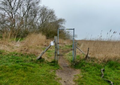 Wanderung auf dem Boiensdorfer Werder