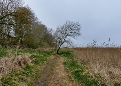 boiensdorfer werder 016