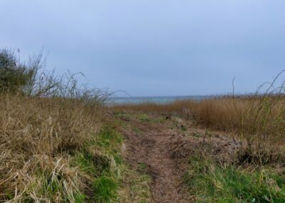 Wanderung auf dem Boiensdorfer Werder