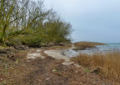 Wanderung auf dem Boiensdorfer Werder