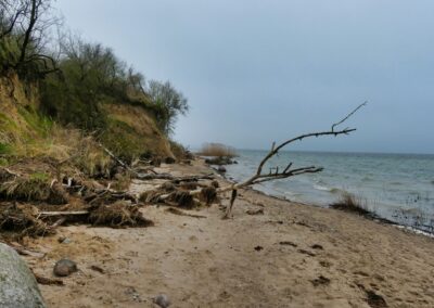 Wanderung auf dem Boiensdorfer Werder
